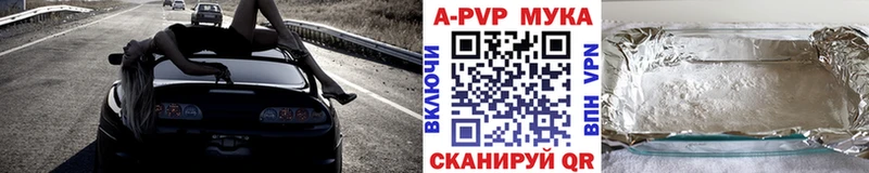 A PVP СК КРИС  Киселёвск 