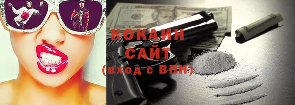 крисы Богородицк