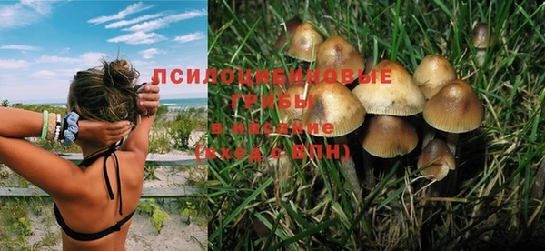 a pvp Богородск