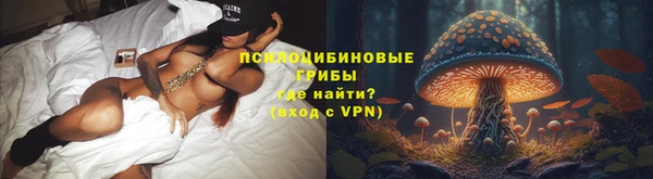 крисы Богородицк