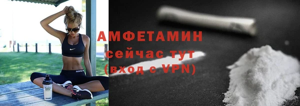 крисы Богородицк