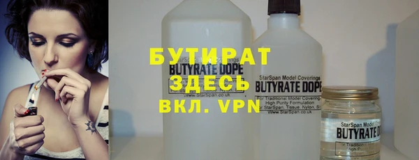 индика Снежногорск