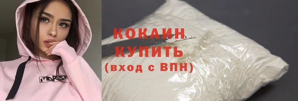 индика Снежногорск