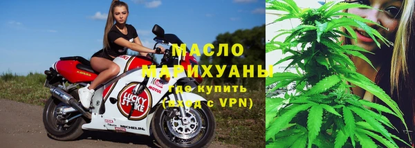 крисы Богородицк