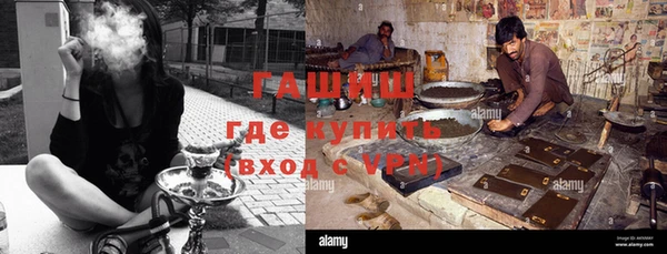 индика Снежногорск