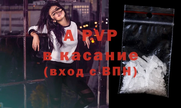 индика Снежногорск