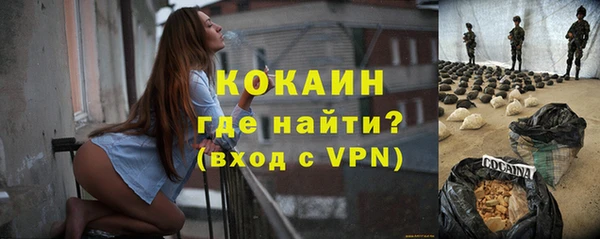 крисы Богородицк