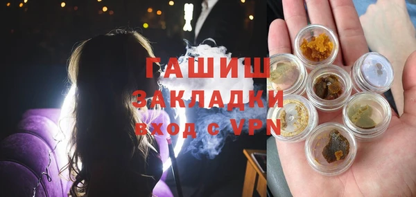 крисы Богородицк