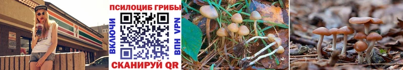 Галлюциногенные грибы Magic Shrooms  как найти наркотики  Киселёвск 